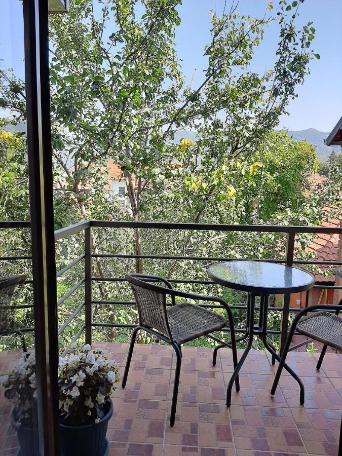 Apartmani Ogi I Ana バイナ・バシュタ エクステリア 写真