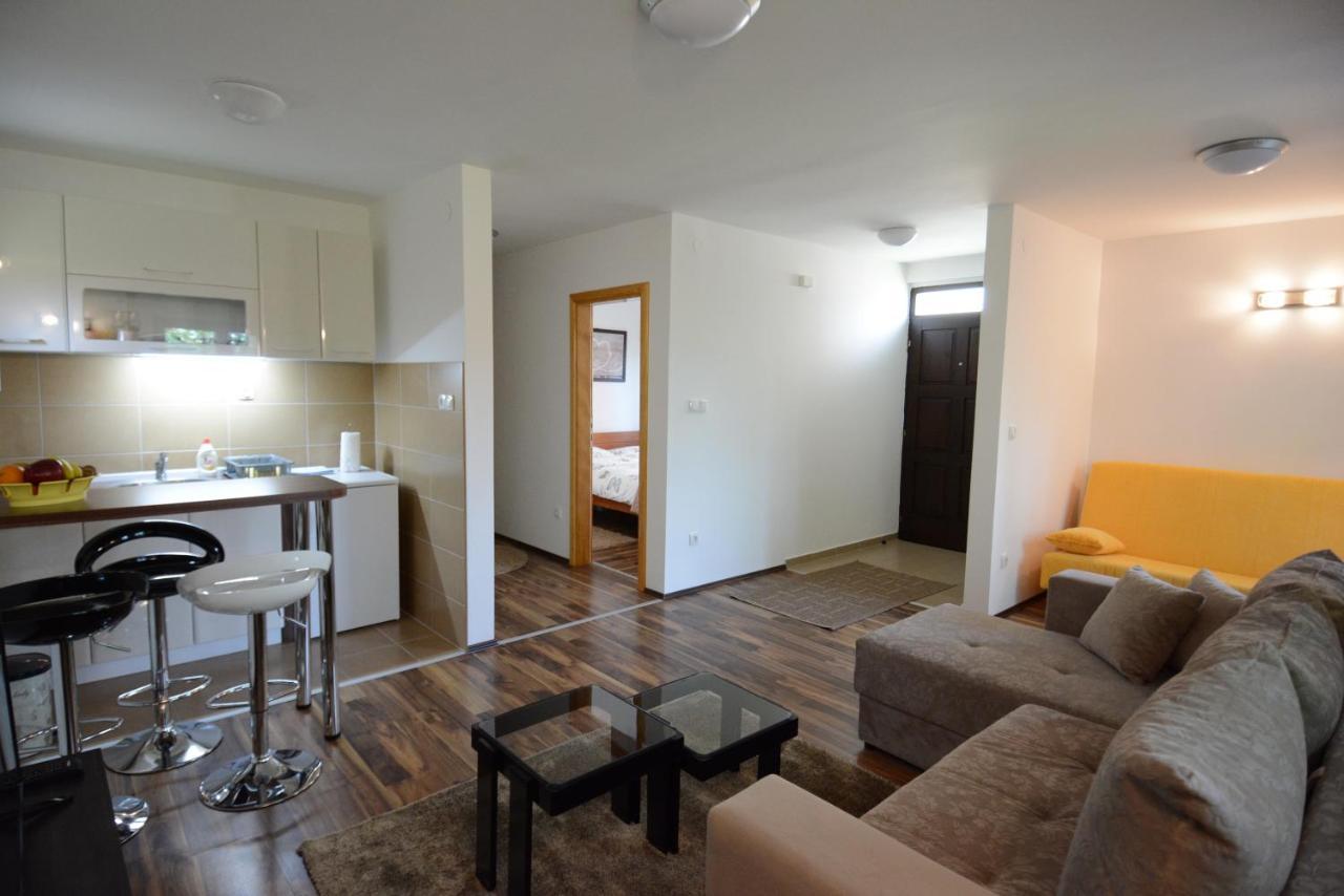Apartmani Ogi I Ana バイナ・バシュタ エクステリア 写真